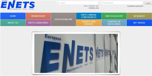 eNETs_新加坡支付方式