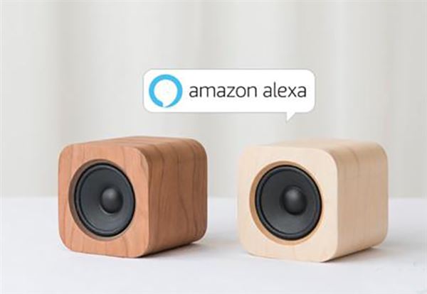 Work with amazon alexa