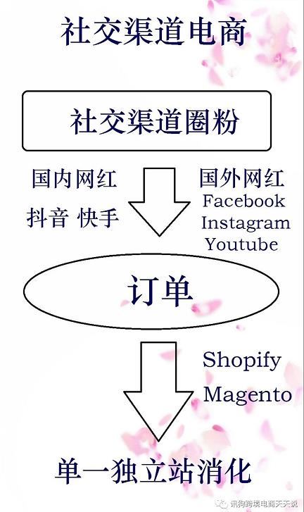 2019做跨境电商，如何抓住短视频TikTok这个风口？